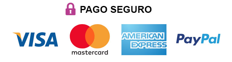 pago seguro2